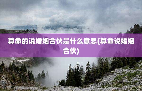 算命的说婚姻合伙是什么意思(算命说婚姻合伙)