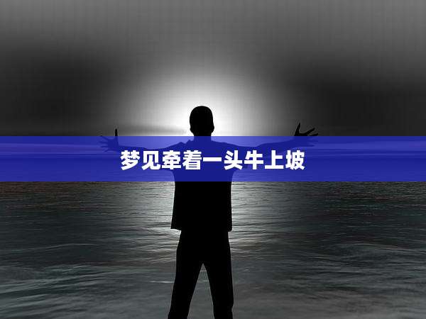 梦见牵着一头牛上坡