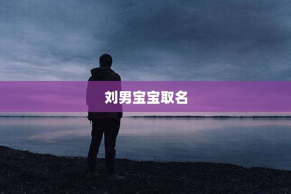 刘男宝宝取名