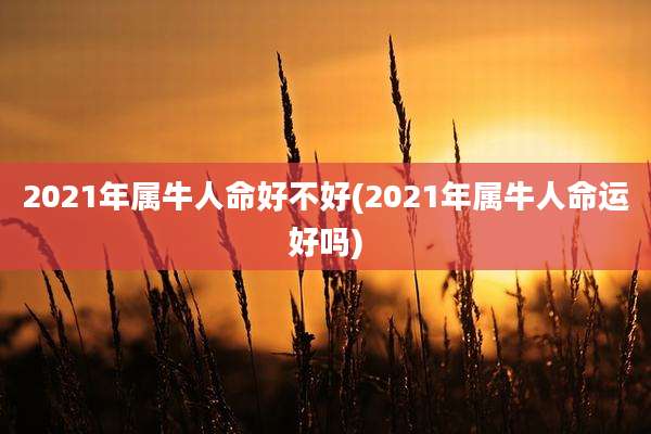 2021年属牛人命好不好(2021年属牛人命运好吗)