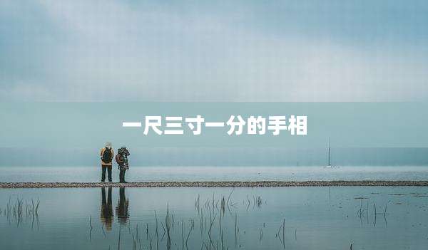 一尺三寸一分的手相