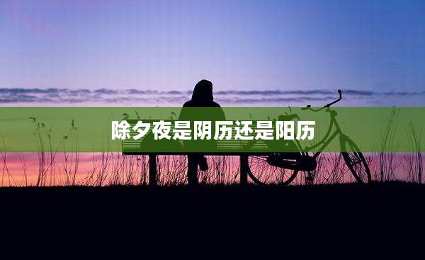 除夕夜是阴历还是阳历