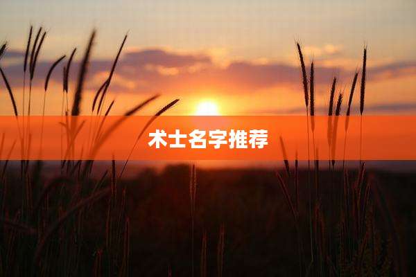 术士名字推荐