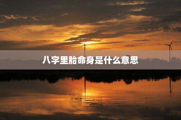 八字里胎命身是什么意思