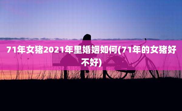 71年女猪2021年里婚姻如何(71年的女猪好不好)