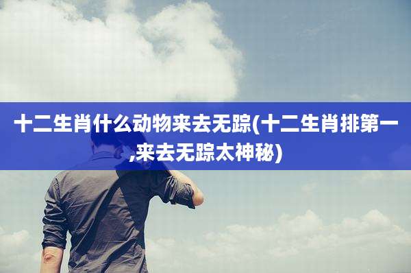 十二生肖什么动物来去无踪(十二生肖排第一,来去无踪太神秘)
