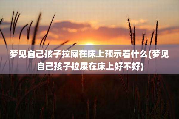 梦见自己孩子拉屎在床上预示着什么(梦见自己孩子拉屎在床上好不好)
