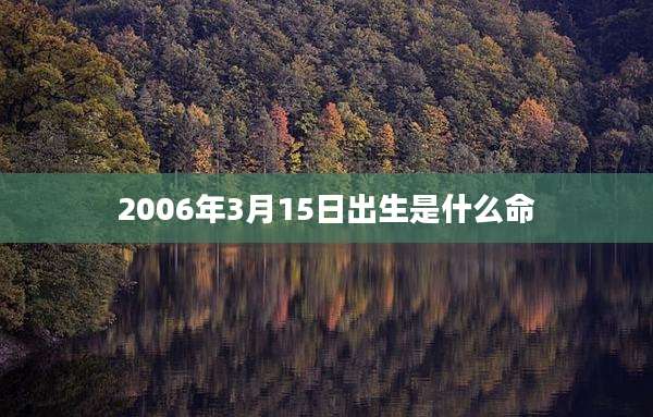 2006年3月15日出生是什么命