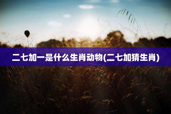 二七加一是什么生肖动物(二七加猜生肖)