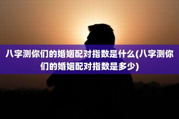 八字测你们的婚姻配对指数是什么(八字测你们的婚姻配对指数是多少)
