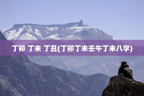 丁卯 丁未 丁丑(丁卯丁未壬午丁未八字)