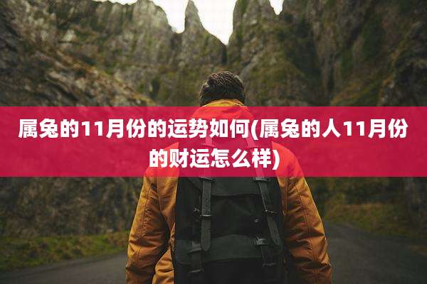 属兔的11月份的运势如何(属兔的人11月份的财运怎么样)