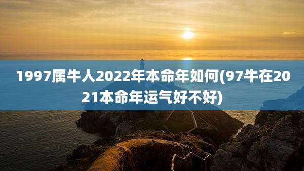 1997属牛人2022年本命年如何(97牛在2021本命年运气好不好)