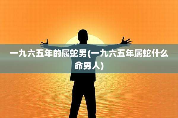 一九六五年的属蛇男(一九六五年属蛇什么命男人)