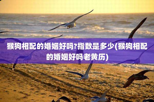 猴狗相配的婚姻好吗?指数是多少(猴狗相配的婚姻好吗老黄历)