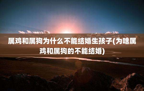 属鸡和属狗为什么不能结婚生孩子(为啥属鸡和属狗的不能结婚)