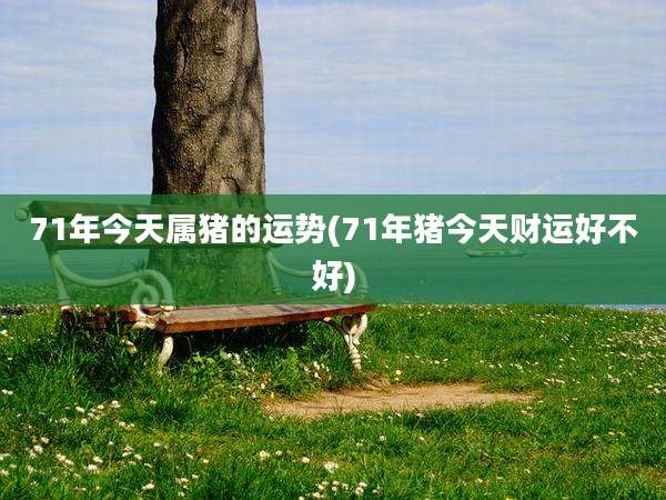 71年今天属猪的运势(71年猪今天财运好不好)