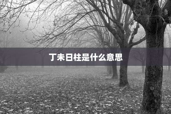 丁未日柱是什么意思