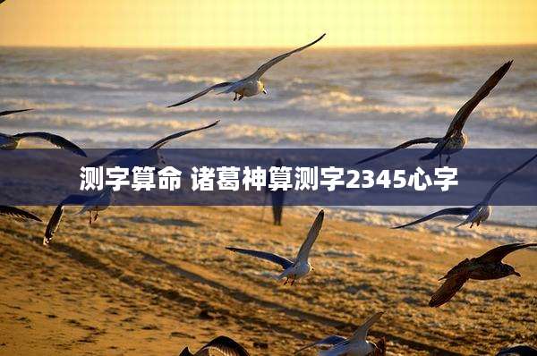 测字算命 诸葛神算测字2345心字