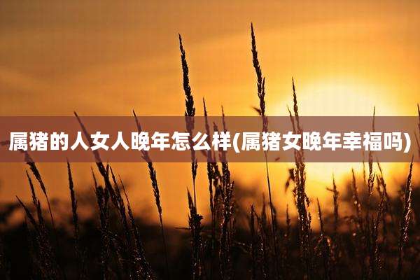 属猪的人女人晚年怎么样(属猪女晚年幸福吗)
