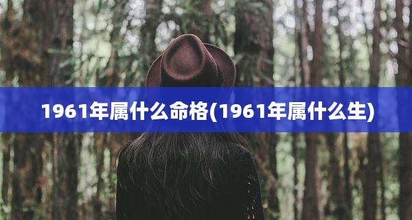 1961年属什么命格(1961年属什么生)