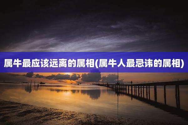 属牛最应该远离的属相(属牛人最忌讳的属相)