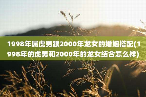 1998年属虎男跟2000年龙女的婚姻搭配(1998年的虎男和2000年的龙女结合怎么样)