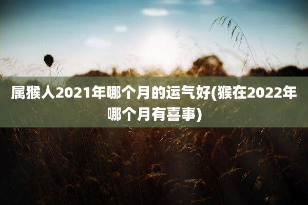 属猴人2021年哪个月的运气好(猴在2022年哪个月有喜事)