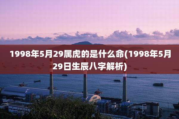 1998年5月29属虎的是什么命(1998年5月29日生辰八字解析)