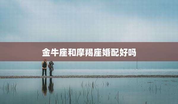 金牛座和摩羯座婚配好吗