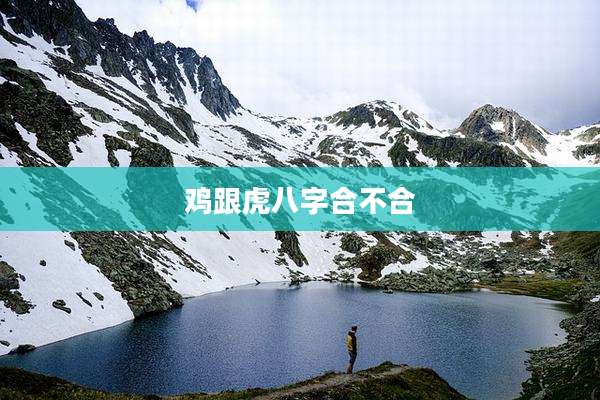 鸡跟虎八字合不合