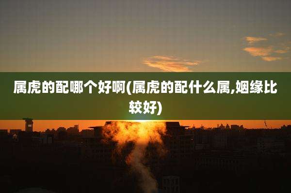 属虎的配哪个好啊(属虎的配什么属,姻缘比较好)