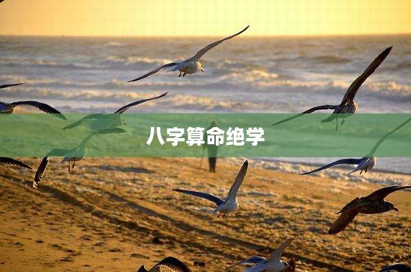 八字算命绝学