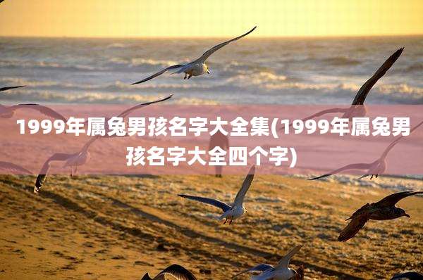 1999年属兔男孩名字大全集(1999年属兔男孩名字大全四个字)