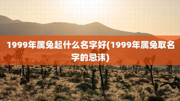1999年属兔起什么名字好(1999年属兔取名字的忌讳)