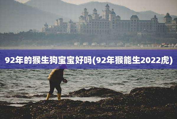 92年的猴生狗宝宝好吗(92年猴能生2022虎)