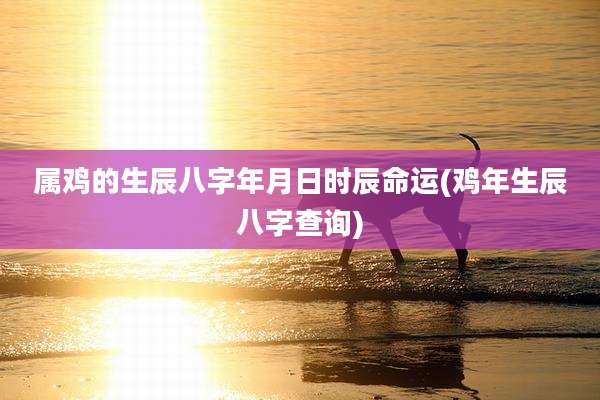 属鸡的生辰八字年月日时辰命运(鸡年生辰八字查询)