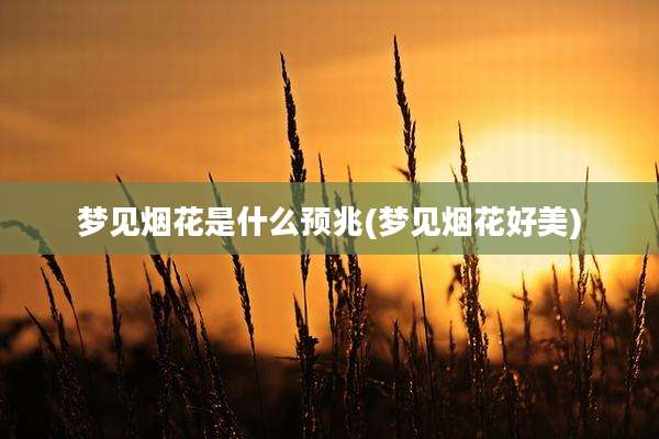 梦见烟花是什么预兆(梦见烟花好美)