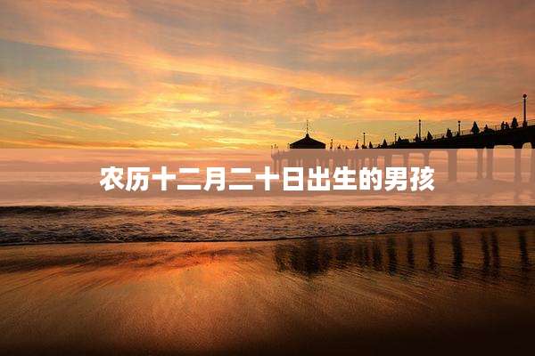 农历十二月二十日出生的男孩
