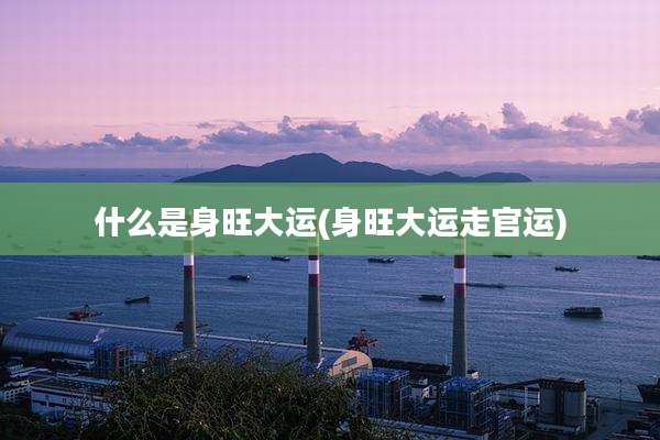 什么是身旺大运(身旺大运走官运)