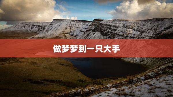 做梦梦到一只大手