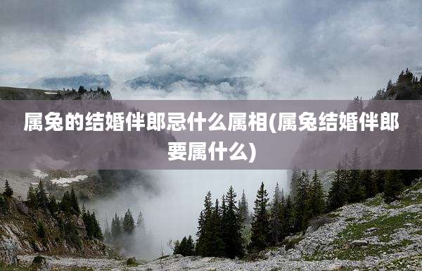 属兔的结婚伴郎忌什么属相(属兔结婚伴郎要属什么)