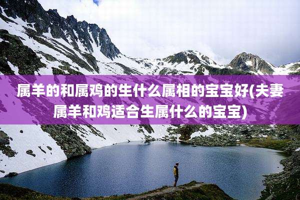 属羊的和属鸡的生什么属相的宝宝好(夫妻属羊和鸡适合生属什么的宝宝)