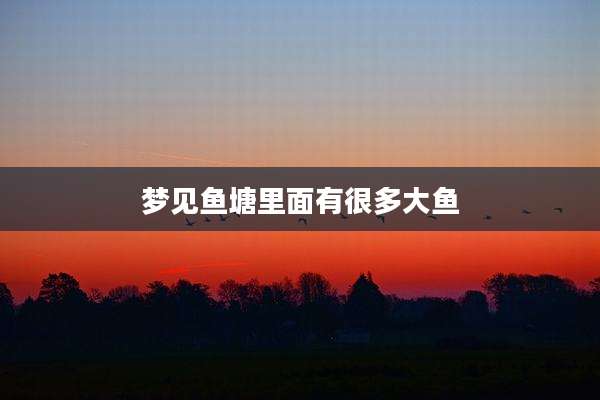 梦见鱼塘里面有很多大鱼