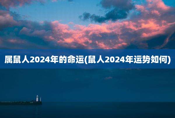 属鼠人2024年的命运(鼠人2024年运势如何)