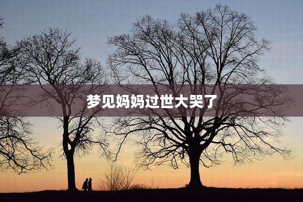 梦见妈妈过世大哭了