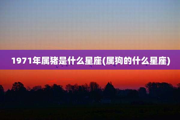 1971年属猪是什么星座(属狗的什么星座)