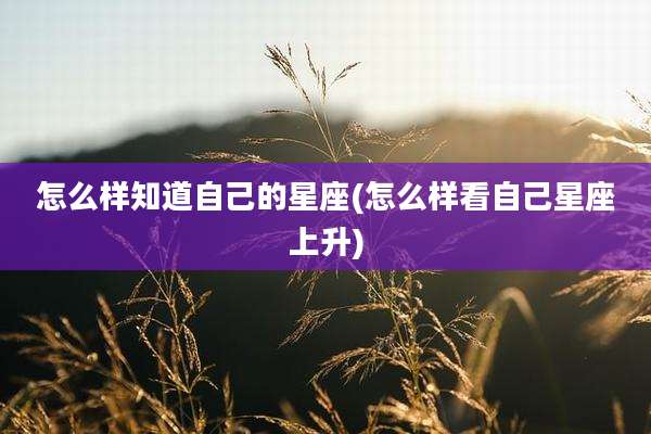 怎么样知道自己的星座(怎么样看自己星座上升)