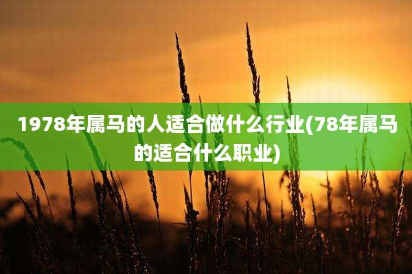 1978年属马的人适合做什么行业(78年属马的适合什么职业)