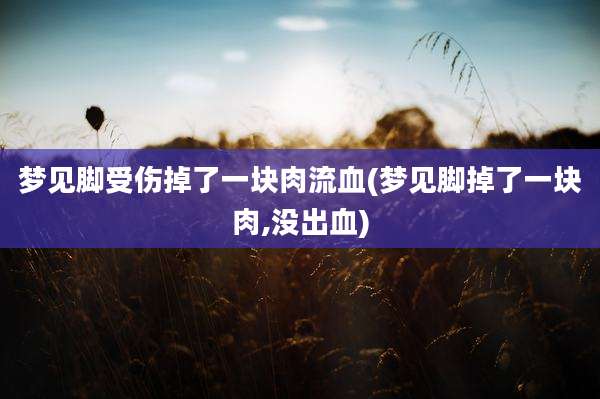 梦见脚受伤掉了一块肉流血(梦见脚掉了一块肉,没出血)